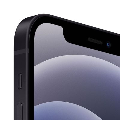 Фото 2 — Смартфон Apple iPhone 12 256GB Черный