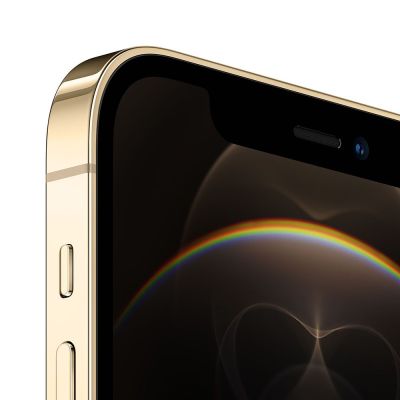 Фото 2 — Смартфон Apple iPhone 12 Pro Max 128GB Золотой